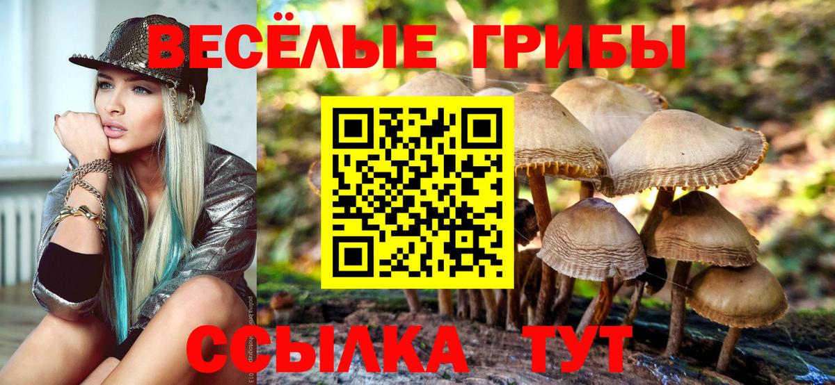 Ирбит  Псилоцибиновые грибы мухоморы  цены   Вход с VPN  Псилоцибиновые грибы мицелий 