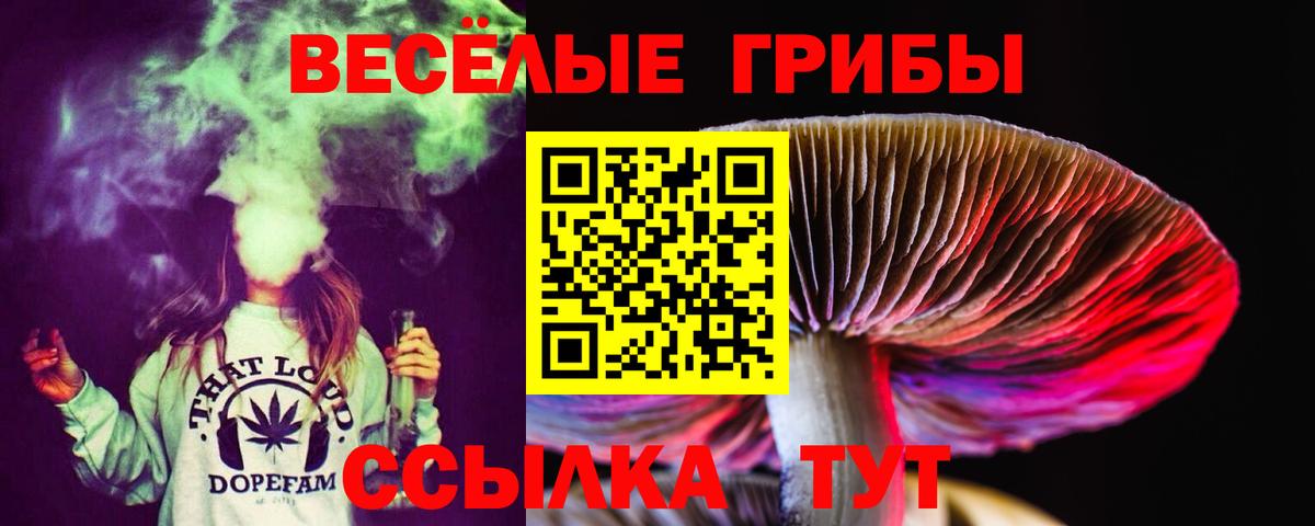 Галлюциногенные грибы мицелий Ирбит